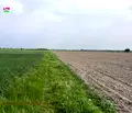 Снимка 4 — Земеделски имот в Пловдив, с. Строево