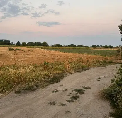 Photo 3 — Agricultural Land in Oblast Plovdiv, Trud