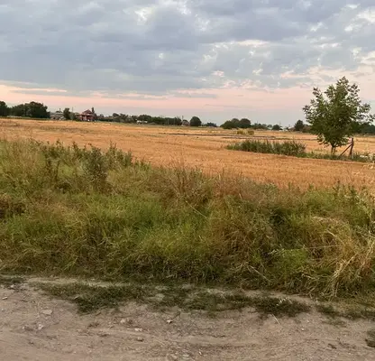 Photo 5 — Agricultural Land in Oblast Plovdiv, Trud