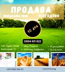 Земеделски имот в Пловдив, с. Ягодово