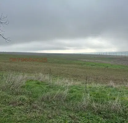 Photo 3 — Agricultural Land in Oblast Shumen, с. Сливак