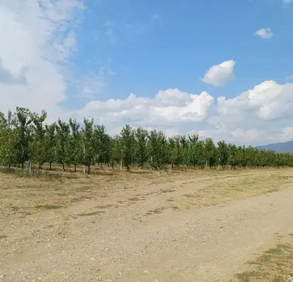 Photo 5 — Arable Land in Sliven, Sliven
