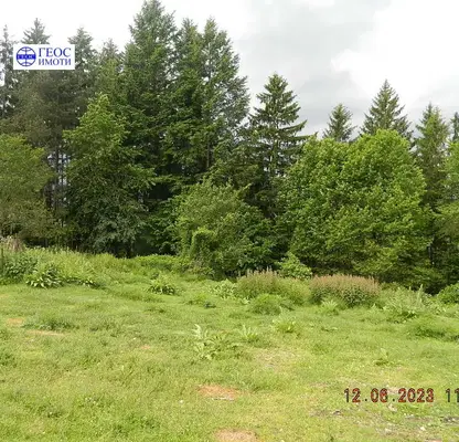 Photo 5 — Arable Land in Smolyan, Smolyan