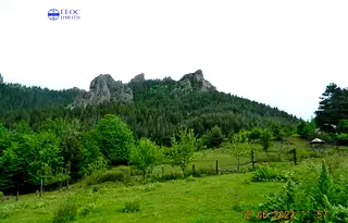 Земеделски имот в Смолян, Смолян