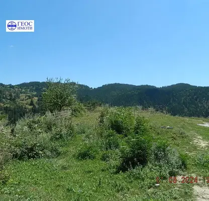Photo 4 — Agricultural Land in Oblast Smolyan, Momchilovci