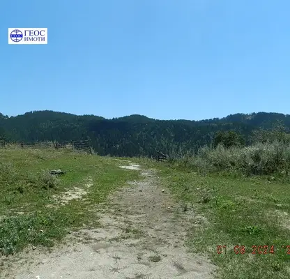 Photo 5 — Agricultural Land in Oblast Smolyan, Momchilovci