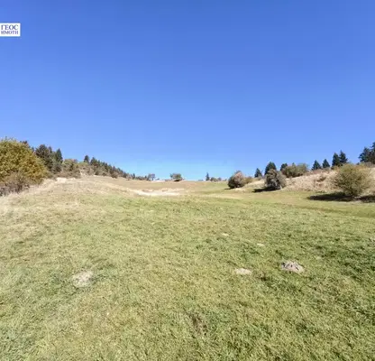 Photo 2 — Agricultural Land in Oblast Smolyan, Momchilovci