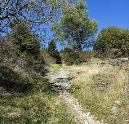 Photo 3 — Agricultural Land in Oblast Smolyan, Momchilovci