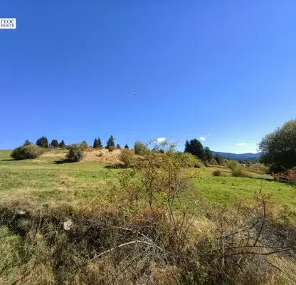 Photo 5 — Agricultural Land in Oblast Smolyan, Momchilovci