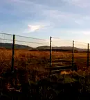 Земеделски имот в София, Божурище
