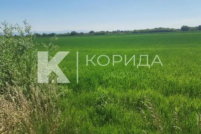 Agricultural Land in област София, Kostinbrod