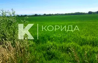 Земеделски имот в София, Костинброд