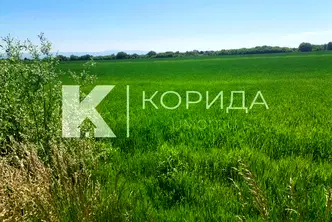 Земеделски имот в София, Костинброд