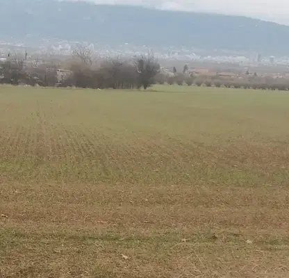 Photo 2 — Agricultural Land in област София, Novi Iskyr