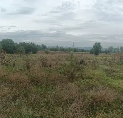 Photo 3 — Agricultural Land in област София, Novi Iskyr