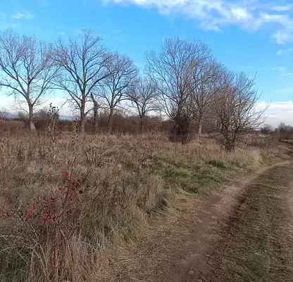 Photo 4 — Agricultural Land in област София, Novi Iskyr