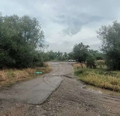 Photo 5 — Agricultural Land in област София, Novi Iskyr