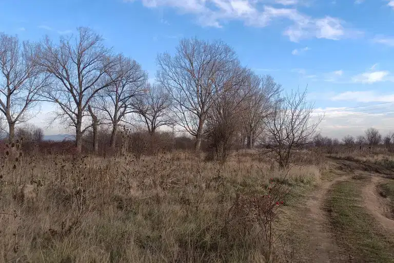 Agricultural Land in област София, Novi Iskyr