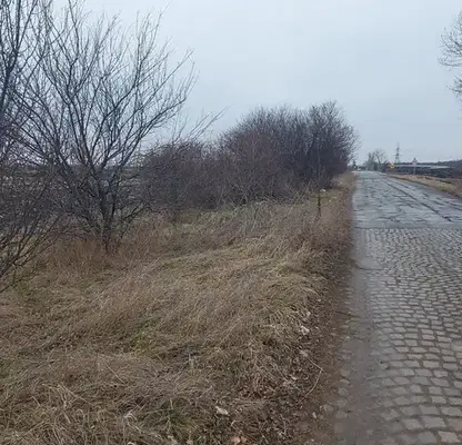 Photo 4 — Agricultural Land in област София, Slivnica