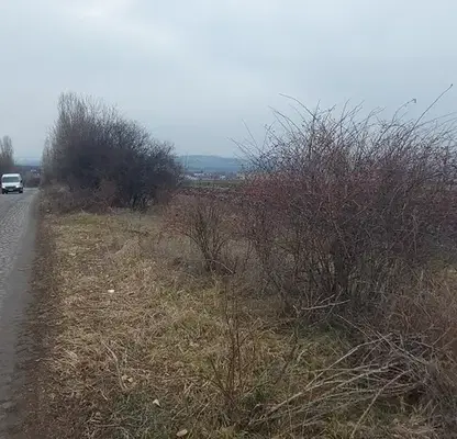 Photo 5 — Agricultural Land in област София, Slivnica