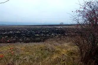 Земеделски имот в София, Сливница