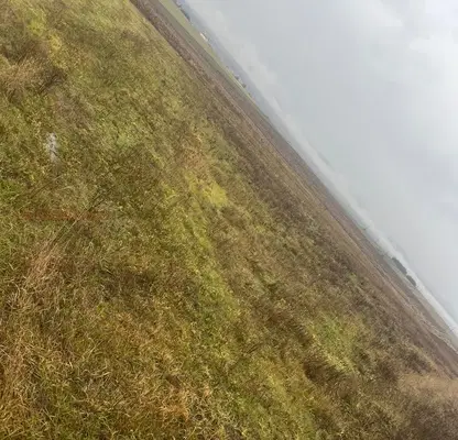 Photo 3 — Agricultural Land in област София, Aldomirovci