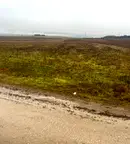 Земеделски имот в София, с. Алдомировци