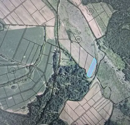 Photo 2 — Arable Land in Sofia, Belopopci