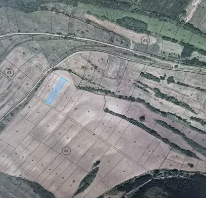 Photo 3 — Arable Land in Sofia, Belopopci