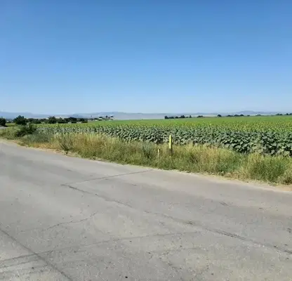Photo 3 — Agricultural Land in област София, Golyanovci