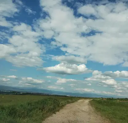 Photo 3 — Agricultural Land in област София, Gorna Malina