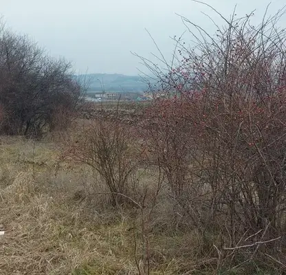 Photo 5 — Agricultural Land in област София, Hrabyrsko