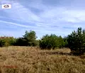 Снимка 3 — Земеделски имот в София, с. Ковачевци