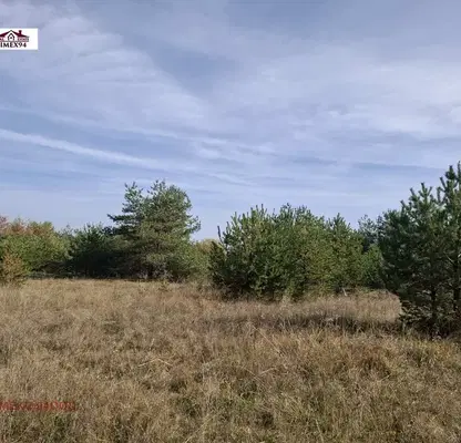 Photo 3 — Agricultural Land in област София, Kovachevci