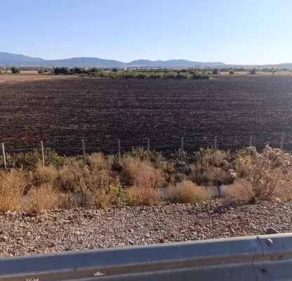 Photo 2 — Agricultural Land in област София, Prolesha