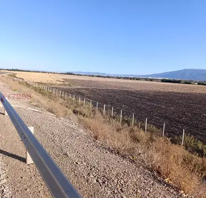 Photo 3 — Agricultural Land in област София, Prolesha