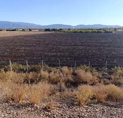 Photo 4 — Agricultural Land in област София, Prolesha