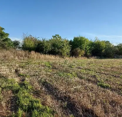 Photo 2 — Agricultural Land in Oblast Stara Zagora, Stara Zagora