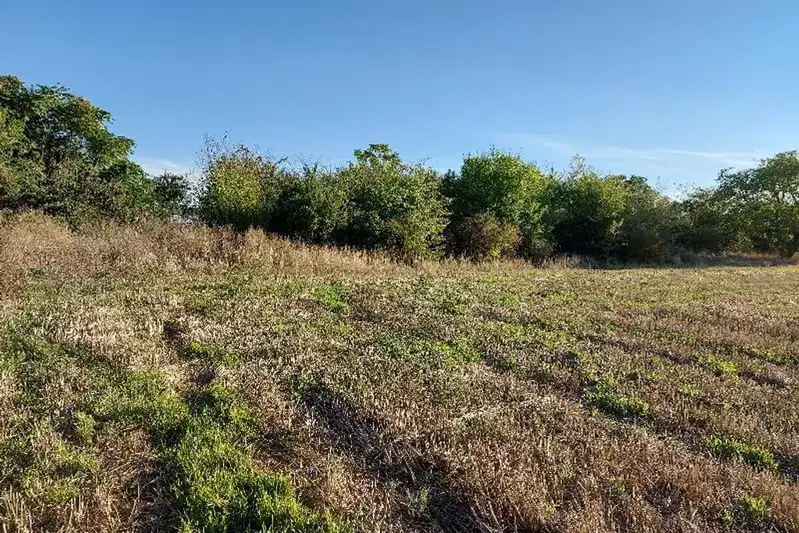 Земеделски имот в Стара Загора, Стара Загора