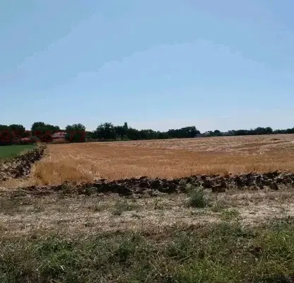 Photo 2 — Agricultural Land in Oblast Stara Zagora, Mogila