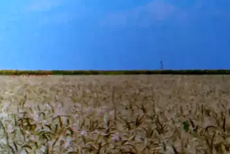 Земеделски имот в Стара Загора, с. Ракитница