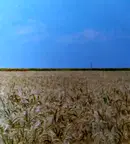 Земеделски имот в Стара Загора, с. Ракитница