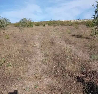 Photo 2 — Agricultural Land in Oblast Varna, Aksakovo
