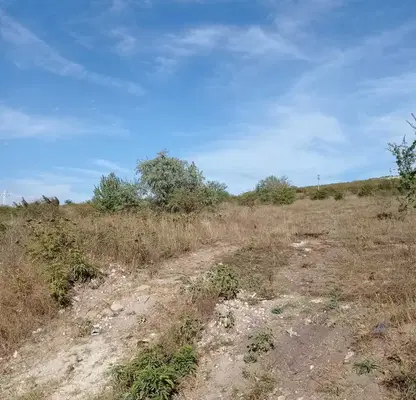 Photo 3 — Agricultural Land in Oblast Varna, Aksakovo