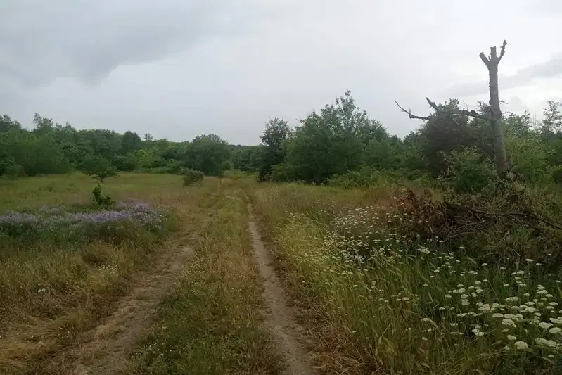Agricultural Land in Oblast Varna, Aksakovo