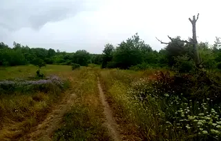 Земеделски имот във Варна, Аксаково