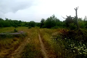 Земеделски имот във Варна, Аксаково