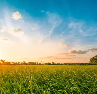 Photo 2 — Agricultural Land in Oblast Varna, Byala