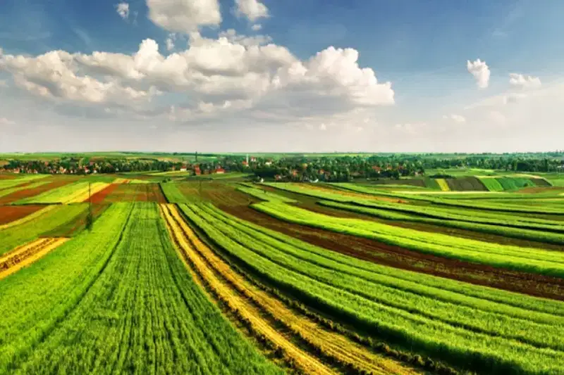 Agricultural Land in Oblast Varna, Byala
