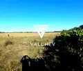 Снимка 2 — Земеделски имот във Варна, Варна